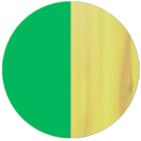 Madeirado com borda verde